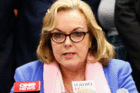 Judith Collins at her press conference today. Photo / Getty Images Judith Collins at her press conference today. Photo / Getty Images
