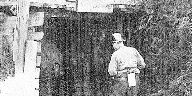 Rescue party members entering the MacDonald mine entrance, which connects with the Glen Afton workings. Photo / NZ Herald, National Library of New Zealand