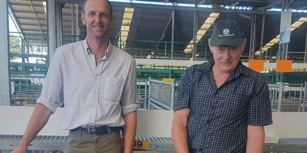 Dave Robertson (left) and Dave Gillespie with the Southdown ram sold by Mr Robertson for $16,000 at the Canterbury A and P Association ram fair in Christchurch. Photo / Supplied