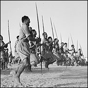 The Maori Battalion performed at Maadi Camp for Greek Royalty in 1941. Picture / Harold Paton The Maori Battalion performed at Maadi Camp for Greek Royalty in 1941. Picture / Harold Paton