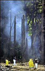 Searchers comb the debris from Flight 93. Picture / Reuters Searchers comb the debris from Flight 93. Picture / Reuters