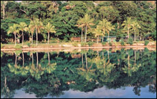 Vanuatu has getaway hotels, "kastom" villages and war relics. Picture / Mark Fryer Vanuatu has getaway hotels, "kastom" villages and war relics. Picture / Mark Fryer