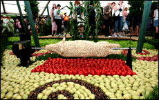 A culinary theme featured in one exhibit at last year's flower show. Picture / Chris Skelton A culinary theme featured in one exhibit at last year's flower show. Picture / Chris Skelton