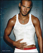 Freddie Ljungberg is giving up Calvin Klein to be more statesmanlike as Sweden captain and Arsenal's longest serving player. Freddie Ljungberg is giving up Calvin Klein to be more statesmanlike as Sweden captain and Arsenal's longest serving player.