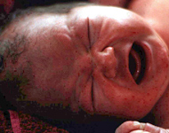 Babies have five distinct sounds says a researcher. Picture / Brett Phibbs Babies have five distinct sounds says a researcher. Picture / Brett Phibbs