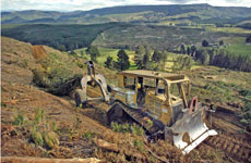 Forest owners are angry that they may face a charge if they decide to let forested land revert to pasture. Photo / Steven McNicholl Forest owners are angry that they may face a charge if they decide to let forested land revert to pasture. Photo / Steven McNicholl