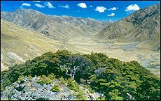 Land tenure review allows owners to give up pastoral land with conservation value such as Molesworth Station, which now is a public reserve. Land tenure review allows owners to give up pastoral land with conservation value such as Molesworth Station, which now is a public reserve.