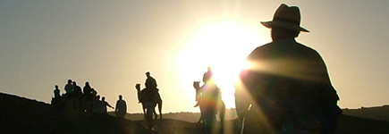 Camel riding into the sunset in Egypt. Photo / Hui Yann Lee Camel riding into the sunset in Egypt. Photo / Hui Yann Lee