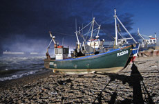 The Hastings fishing fleet launches from the beach. Photo / Bob Mazzer The Hastings fishing fleet launches from the beach. Photo / Bob Mazzer