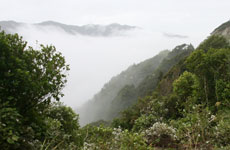 File photo / Wairarapa Times-Age File photo / Wairarapa Times-Age