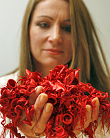 Alison Craig holds what look like squid but are the remnants of red balloons that washed up on the island. Photo / Dean Purcell Alison Craig holds what look like squid but are the remnants of red balloons that washed up on the island. Photo / Dean Purcell