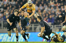 Daniel Carter looks to pass to Richie McCaw (left), while Australian No 8 Stephen Hoiles leaps high to stop the move at Eden Park on Saturday. Photo / Brett Phibbs. Daniel Carter looks to pass to Richie McCaw (left), while Australian No 8 Stephen Hoiles leaps high to stop the move at Eden Park on Saturday. Photo / Brett Phibbs.