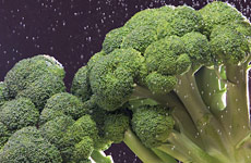 Five servings of vegetables and fruit needed daily. Photo / Martin Sykes Five servings of vegetables and fruit needed daily. Photo / Martin Sykes