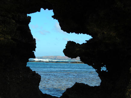 Peeking out onto the ocean. Photo / Tracy Leggett Peeking out onto the ocean. Photo / Tracy Leggett
