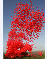 The Warehouse sent 13,000 balloons skyward to celebrate its birthday - will cyberspace be as simple? Photo / Michael Bradley The Warehouse sent 13,000 balloons skyward to celebrate its birthday - will cyberspace be as simple? Photo / Michael Bradley