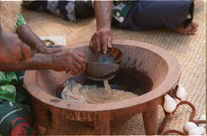 Vanuatu kava is renowned as stronger, because it's extracted from the greener pepper plant roots.Photo / NZHerald Vanuatu kava is renowned as stronger, because it's extracted from the greener pepper plant roots.Photo / NZHerald