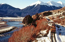 TranzAlpine train carried record numbers of passengers last year. TranzAlpine train carried record numbers of passengers last year.