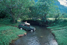 Tahiti's lush valleys and verdant shores play host to an array of hidden wonders. Photo / Tahiti Tourisme Tahiti's lush valleys and verdant shores play host to an array of hidden wonders. Photo / Tahiti Tourisme