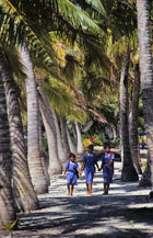 Children meander home through a palm-fringed lane near Saipipi village. Children meander home through a palm-fringed lane near Saipipi village.