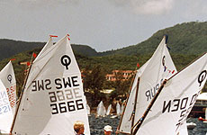 The island of Martinique. Photo / Reuters The island of Martinique. Photo / Reuters