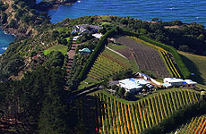 Peninsula Estate was once farmland. Peninsula Estate was once farmland.