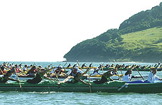 Tauranga's outrigger canoe race is one of the largest in the country. Photo / Bay of Plenty Times Tauranga's outrigger canoe race is one of the largest in the country. Photo / Bay of Plenty Times