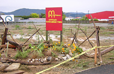 Protesters planted flowers and vegetables on the site. Protesters planted flowers and vegetables on the site.