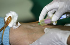 Dengue fever out-break in Tonga. Photo / Reuters. Dengue fever out-break in Tonga. Photo / Reuters.