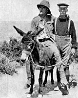 Private James Gardiner Jackson's picture of Richard Henderson with a wounded soldier on Murphy the donkey at Gallipoli. Private James Gardiner Jackson's picture of Richard Henderson with a wounded soldier on Murphy the donkey at Gallipoli.