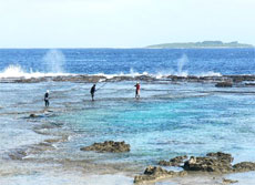 For Tonga, make sure you pack your 'she'll be right' and leave 'what ifs' at home. For Tonga, make sure you pack your 'she'll be right' and leave 'what ifs' at home.