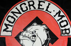 The emblem of the Mongrel Mob. The emblem of the Mongrel Mob.