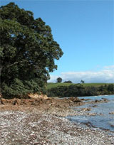 Whanakewha Beach. Photo / ARC Whanakewha Beach. Photo / ARC