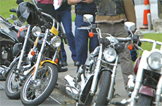 Establishing the exact number of gang members is a virtually impossible task. Herald file photo Establishing the exact number of gang members is a virtually impossible task. Herald file photo