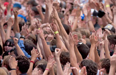 Festival Festival