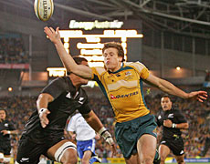 Australia's Luke Burgess tries to haul in a loose ball during the Bledisloe Cup test. Photo / Getty Images Australia's Luke Burgess tries to haul in a loose ball during the Bledisloe Cup test. Photo / Getty Images