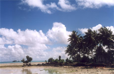 Pacific Islands such as Kiribati face an uncertain future due to rising sea levels and climate change and community leaders are urging the governments of New Zealand and Australia to take action. Photo / Supplied Pacific Islands such as Kiribati face an uncertain future due to rising sea levels and climate change and community leaders are urging the governments of New Zealand and Australia to take action. Photo / Supplied