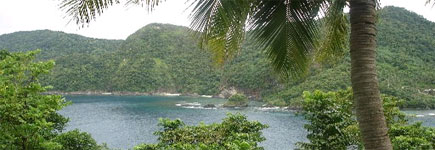 American Samoa has abundant natural beautybut some of the villages seem a little artificial. Photo / Angela Gregory American Samoa has abundant natural beautybut some of the villages seem a little artificial. Photo / Angela Gregory