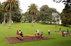 Children playing in Jellicoe Park. Photo / Herald on Sunday Children playing in Jellicoe Park. Photo / Herald on Sunday