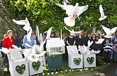 The family of Austin Hemmings release doves at the end of his funeral service in Devonport. Photo / Kenny Rodger The family of Austin Hemmings release doves at the end of his funeral service in Devonport. Photo / Kenny Rodger