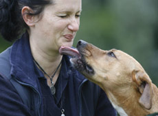 Eve - pictured with SPCA canine team leader Max Burndred - was a victim of one of the worst cases of animal abuse ever seen by the SPCA. Photo / Glenn Jeffrey Eve - pictured with SPCA canine team leader Max Burndred - was a victim of one of the worst cases of animal abuse ever seen by the SPCA. Photo / Glenn Jeffrey
