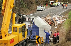 A crane tries to get the tanker back on its wheels at the scene of the collision on State Highway 36 between Tauranga and Rotorua yesterday morning. Photo / Alan Gibson A crane tries to get the tanker back on its wheels at the scene of the collision on State Highway 36 between Tauranga and Rotorua yesterday morning. Photo / Alan Gibson