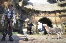 Fable II, the long-awaited sequel to the Xbox fantasy RPG, has some extremely irritating bugs. Fable II, the long-awaited sequel to the Xbox fantasy RPG, has some extremely irritating bugs.