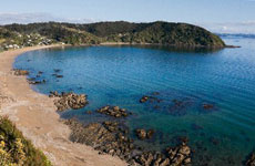 Long Beach, Bay of Islands. Photo / supplied Long Beach, Bay of Islands. Photo / supplied