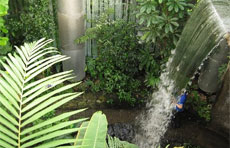 Otago Museum's Discovery World Tropical Rainforest. Photo / Supplied Otago Museum's Discovery World Tropical Rainforest. Photo / Supplied