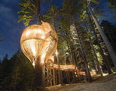 The tree house restaurant sits ten metres above the ground in a redwood tree. Photo / Mike Reihana The tree house restaurant sits ten metres above the ground in a redwood tree. Photo / Mike Reihana