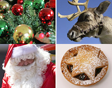 Why the Christmas tree? Why reindeer? Why the ridiculous suit? Photos / Hawke's Bay Today, Richard Robinson, Carolyn Robertson Why the Christmas tree? Why reindeer? Why the ridiculous suit? Photos / Hawke's Bay Today, Richard Robinson, Carolyn Robertson