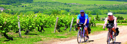 These holidays are not for shaven-legged hearties who bend over the handlebars as they speed along. Photo / Cycling for Softies These holidays are not for shaven-legged hearties who bend over the handlebars as they speed along. Photo / Cycling for Softies