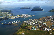Tauranga's gain is Auckland's loss. Tauranga's gain is Auckland's loss.