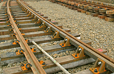 The Government is considering buying into commuter rail services in Auckland and Wellington. Photo / Brett Phibbs The Government is considering buying into commuter rail services in Auckland and Wellington. Photo / Brett Phibbs