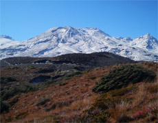 The Mt Ruapehu skifield website has now had password protection added. Photo / Supplied The Mt Ruapehu skifield website has now had password protection added. Photo / Supplied